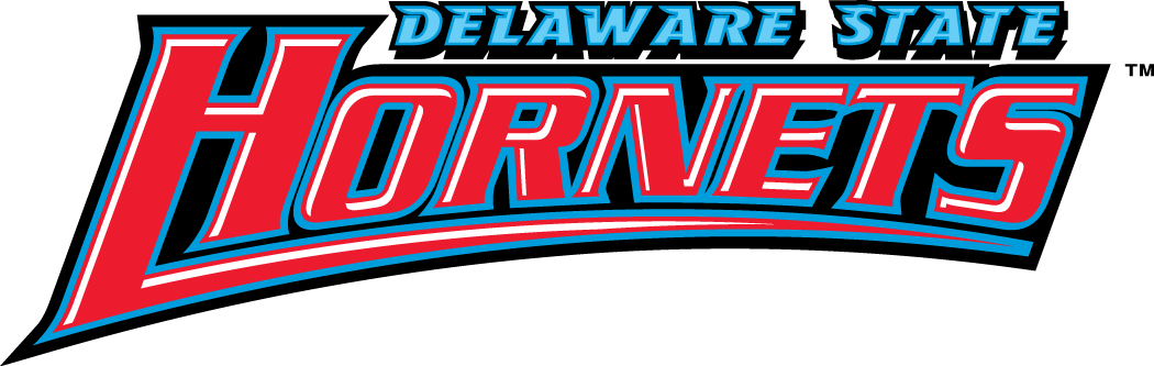 Delaware State Hornets 2004-Pres Wordmark Logo iron on transfers for clothing